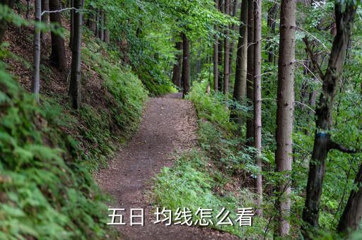怎么看日均線,5日均線附近或遠離均線股價將回調至10%以上