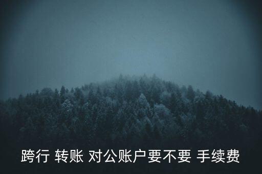 跨行 轉賬 對公賬戶要不要 手續(xù)費