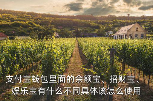 娛樂寶的錢怎么取出來(lái),娛樂寶如何獲得資料