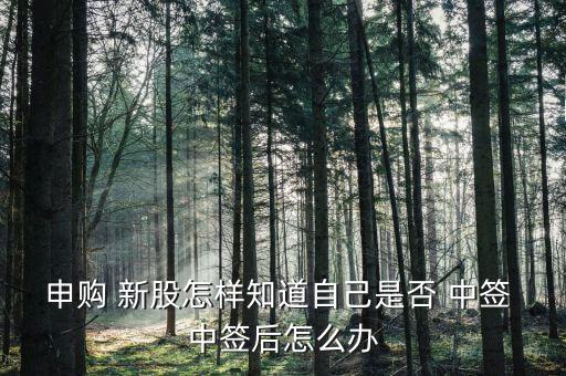 2016新股怎么知道中簽,三個(gè)渠道可查詢(xún)新股是否有中簽機(jī)會(huì)