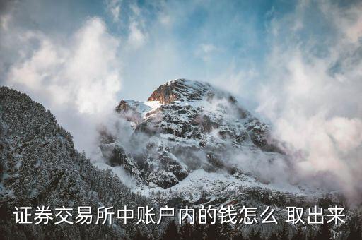 證券交易所中賬戶(hù)內(nèi)的錢(qián)怎么 取出來(lái)