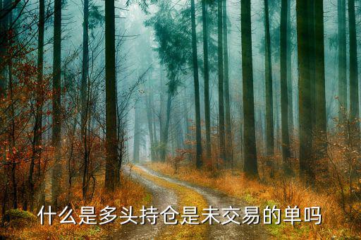 什么是多空持倉，請問多單持倉和空單持倉是什么意識呀