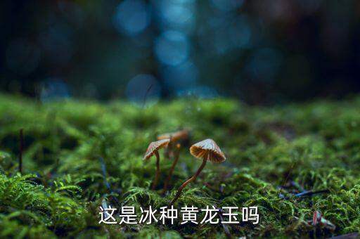 黃龍玉為什么二氧化硅偏高，這是冰種黃龍玉嗎