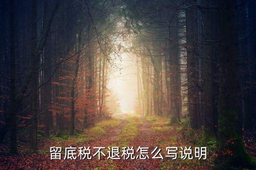 退抵稅說明書怎么寫,退稅抵稅申請確認書、小額退稅憑證