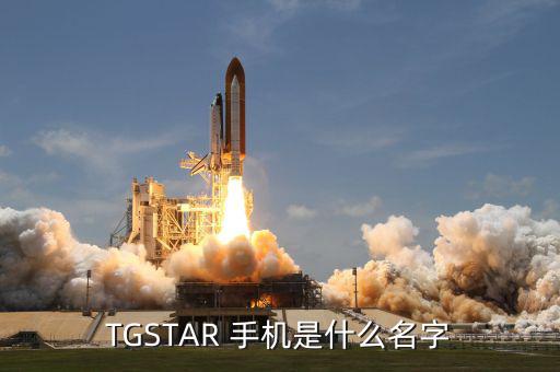 周鴻t手機牌子是什么，T型的手機是什么牌子