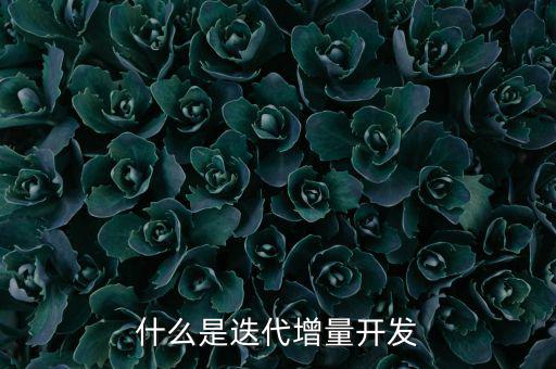 什么是增量發(fā)展，物理意義上的增量是什么意思