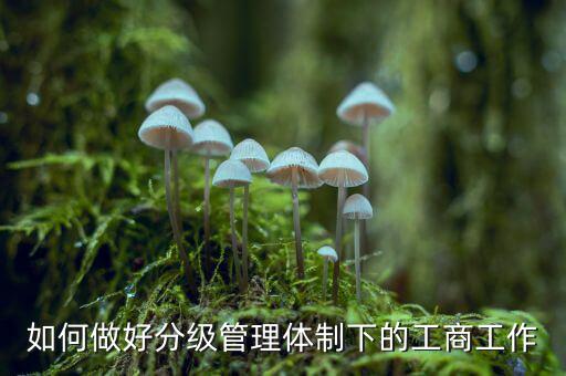 什么是分層分級(jí)管理，如何做好分級(jí)管理體制下的工商工作