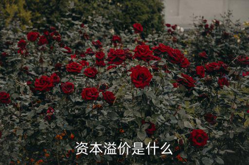什么是溢價(jià)，什么是資本溢價(jià)