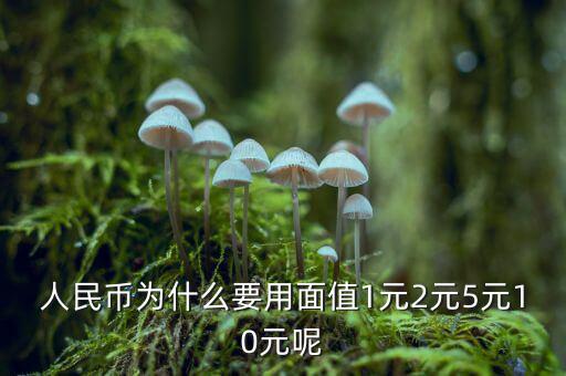 為什么人民幣面值，人民幣為什么要用面值1元2元5元10元呢