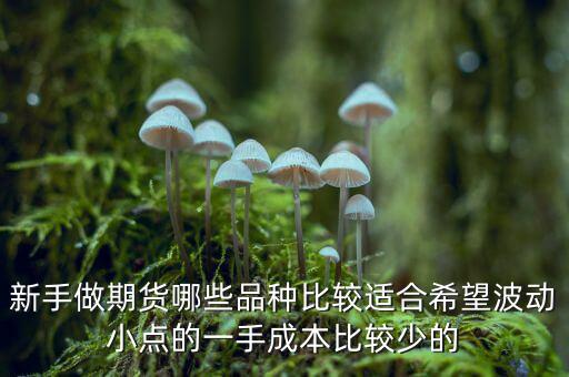 兩萬能做期貨什么品種，我用兩萬做商品期貨