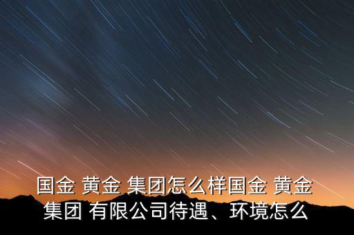 國(guó)金 黃金 集團(tuán)怎么樣國(guó)金 黃金 集團(tuán) 有限公司待遇、環(huán)境怎么