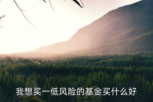 經(jīng)濟(jì)低迷投資什么基金，低收入買什么樣的基金好