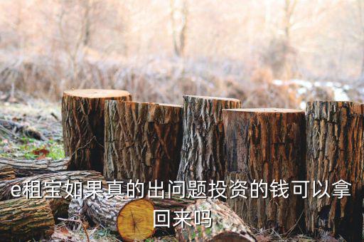 e租寶注冊有什么風險，朋友讓我給他注冊個e租包賬號安全嗎