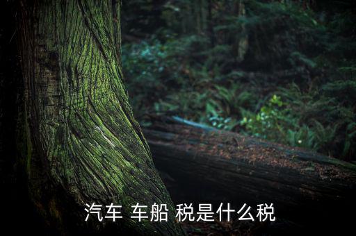 汽車車船稅是怎么樣,車船稅是對(duì)車輛、船舶征收的稅