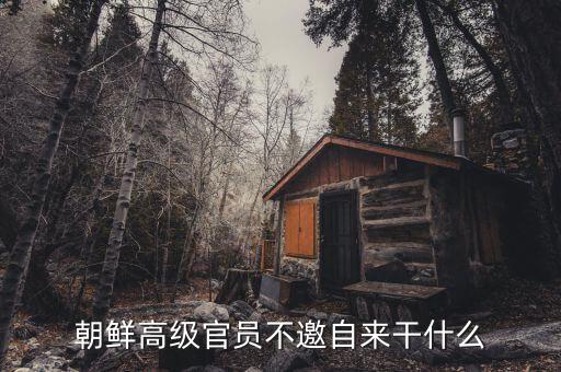 朝鮮領(lǐng)導(dǎo)人為什么不出訪，朝鮮高級官員不邀自來干什么