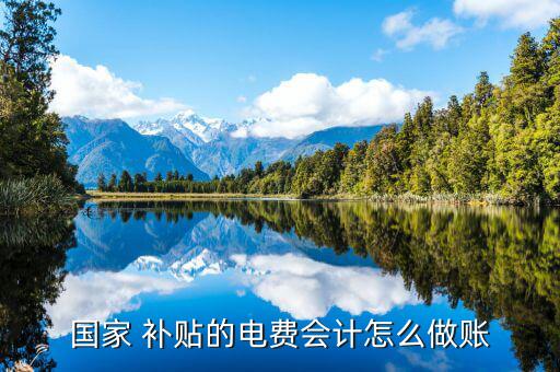 收到購(gòu)買(mǎi)電機(jī)補(bǔ)貼怎么入賬,電費(fèi)補(bǔ)貼how入賬三個(gè)問(wèn)題請(qǐng)稍等