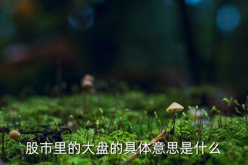 股票中大盤是什么意思，股市里的大盤的具體意思是什么
