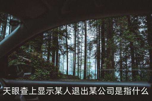 什么是退出類(lèi)平臺(tái)公司，天眼查上顯示某人退出某公司是指什么