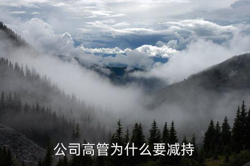 減持套現(xiàn)干什么，公司高管為什么要減持