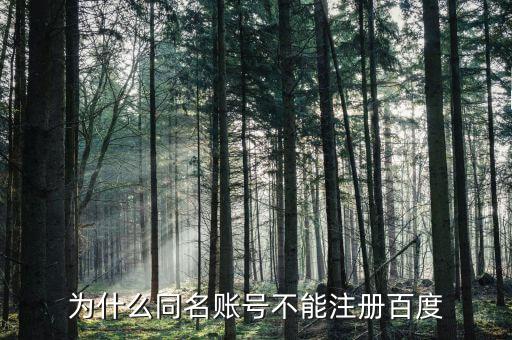 什么是同名賬戶，神武游戲說存在同名賬號是什么意思