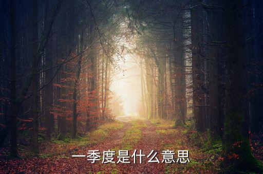 每一季度是什么意思，每季度什么意思