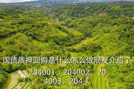 國(guó)債質(zhì)押回購(gòu)是什么怎么做朋友介紹了 204001、204002、204003、204...