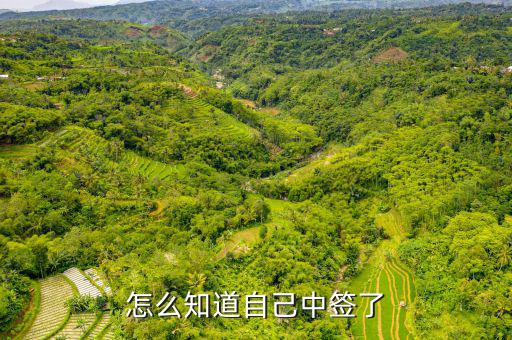 中簽號怎么核對,交易所公布中簽率及中獎(jiǎng)名單