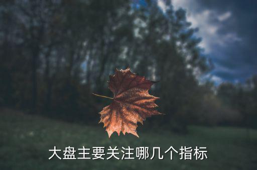 股市大盤關注什么指數(shù)，大家看大盤走勢都是看的哪個指數(shù)