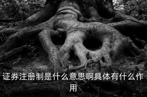 證券注冊制什么意思，證券注冊制是什么意思啊具體有什么作用