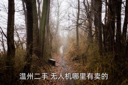 無人機(jī)淘寶賣還怎么代理,國(guó)產(chǎn)無人機(jī)淘寶上架銷售