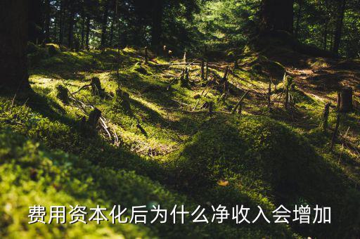為什么資本化會(huì)使roa增加，法定存款準(zhǔn)備金率的提高對(duì)ROA的影響謝謝啦