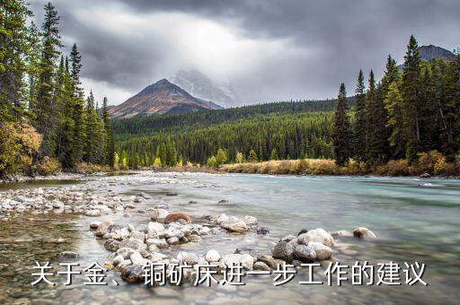 關(guān)于金、 銅礦床進(jìn)一步工作的建議