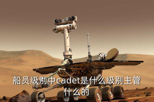 中船總經(jīng)理什么級別，中國船舶總公司總經(jīng)理啥級別