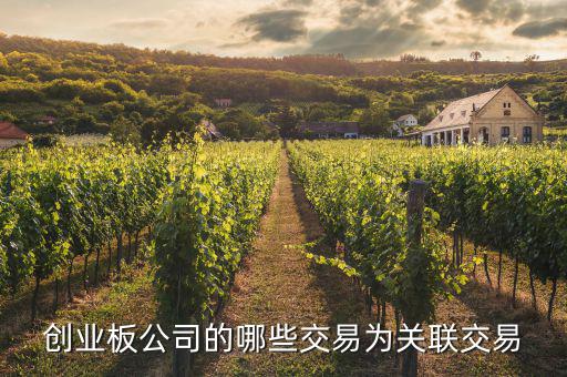 關(guān)聯(lián)交易多存在與什么的公司，哪些交易屬于上市公司關(guān)聯(lián)交易求解答