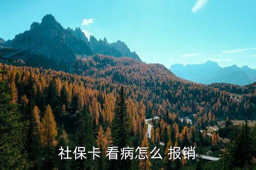 社保卡 看病怎么 報銷