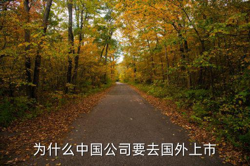 中國企業(yè)為什么要在境外上市，為什么有公司要到境外上市