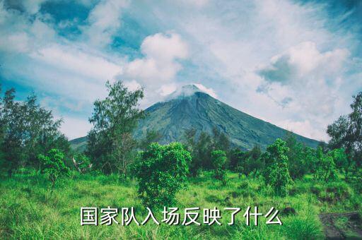 國家隊進場是什么意思，國家隊入場反映了什么