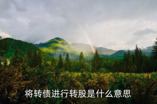 什么是債轉(zhuǎn)股，將轉(zhuǎn)債進(jìn)行轉(zhuǎn)股是什么意思