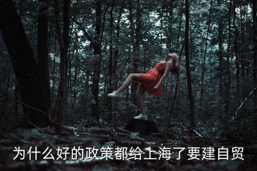 為什么要設(shè)立上海自貿(mào)區(qū)，上海自貿(mào)區(qū)成立的目的