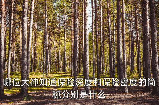 什么叫保險(xiǎn)密度，保險(xiǎn)深度與密度是什么