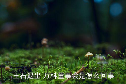  王石退出 萬(wàn)科董事會(huì)是怎么回事