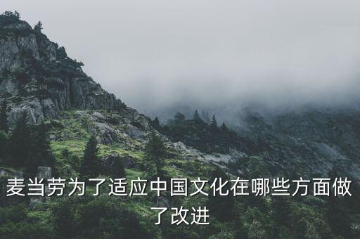 麥當(dāng)勞中國(guó)的愿景是什么，麥當(dāng)勞為了適應(yīng)中國(guó)文化在哪些方面做了改進(jìn)