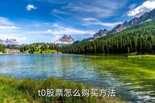 t0股票怎么購(gòu)買方法