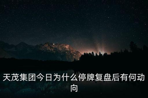 天茂集團(tuán)今日為什么停牌復(fù)盤后有何動向