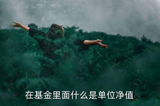 什么是基金單位凈值，基金單位凈值是什么意思