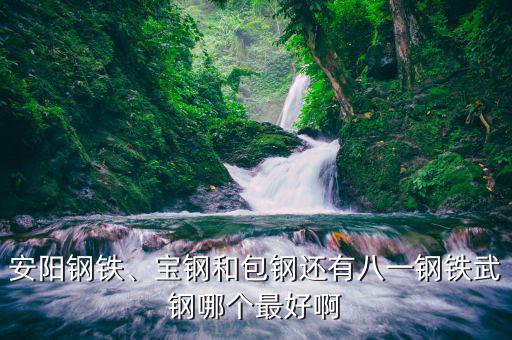 安陽鋼鐵、寶鋼和包鋼還有八一鋼鐵武鋼哪個最好啊