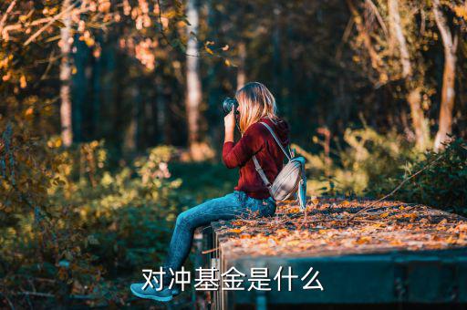 對(duì)沖基金是什么意思，什么是對(duì)沖基金對(duì)沖基金指的是什么