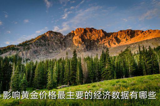 什么數(shù)據(jù)會(huì)影響黃金，影響黃金價(jià)格最主要的經(jīng)濟(jì)數(shù)據(jù)有哪些