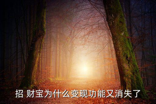 怎么通過招財寶借錢,用趙財寶變現貸款需滿足以下條件