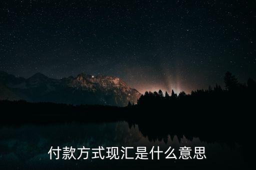 現(xiàn)匯金額是什么意思，招行自動還款中現(xiàn)匯是什么意思